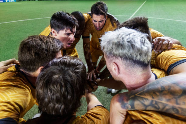 的政策反映 的政策反映